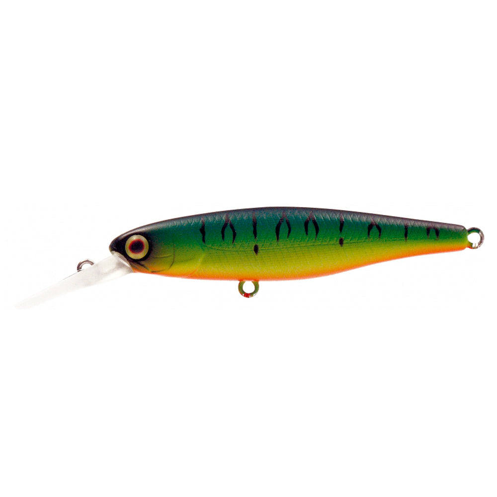 DD SQUIRREL 67 SP