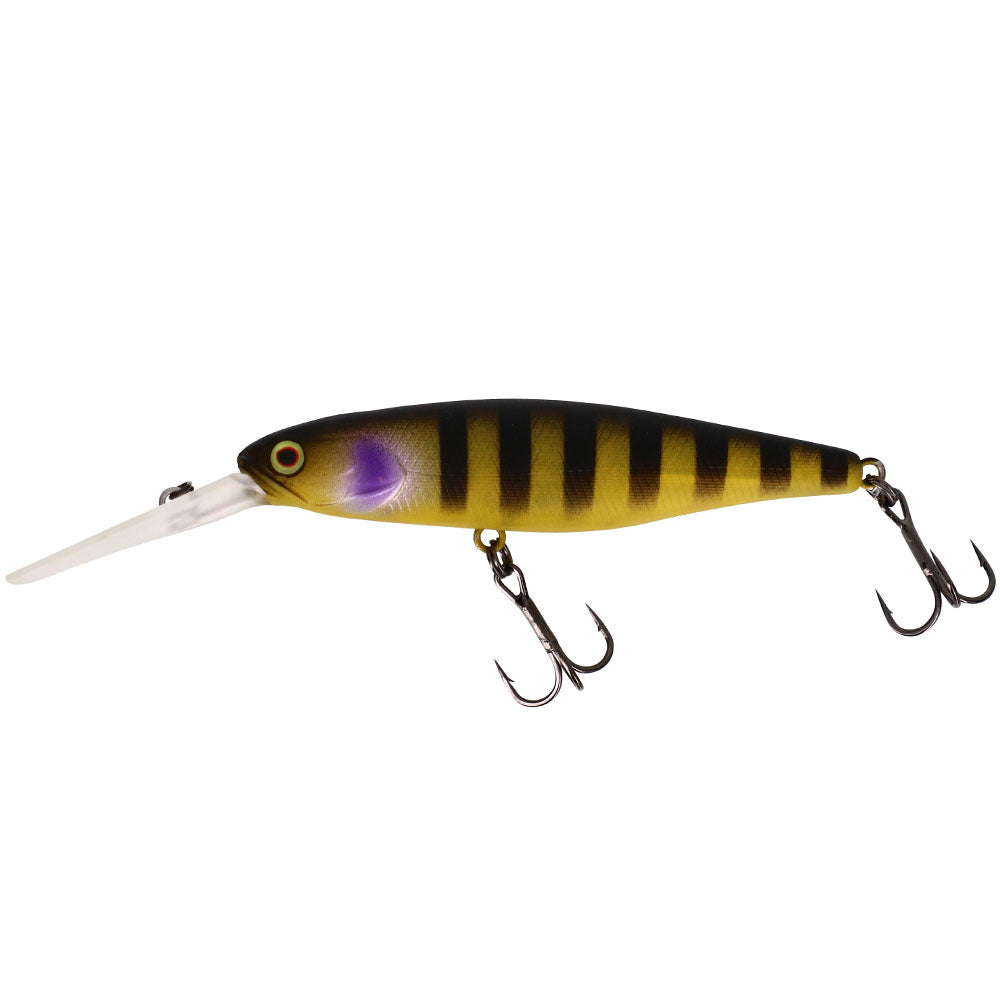 DD SQUIRREL 79 SP