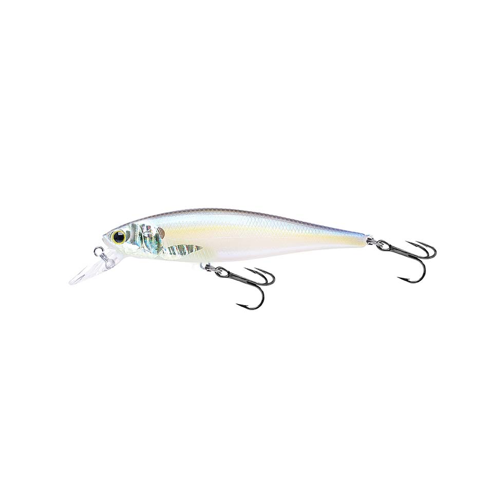 Pointer 100 SP