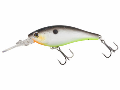 Jetty Shad 62SP