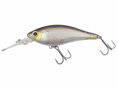 Jetty Shad 62SP