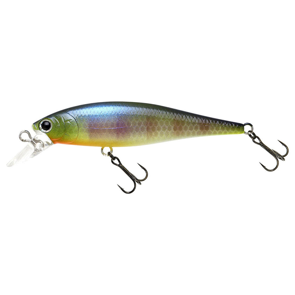 Pointer 65DD SP