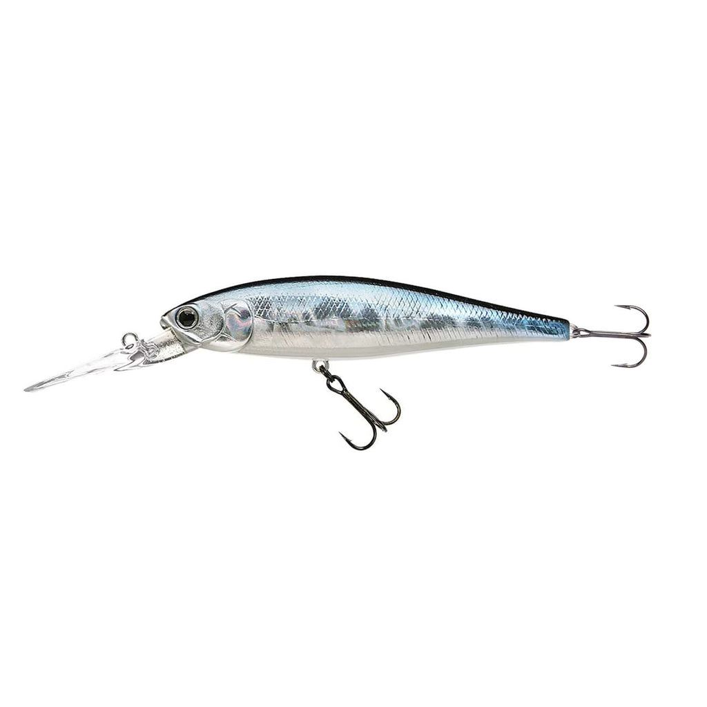 Pointer 100 DD