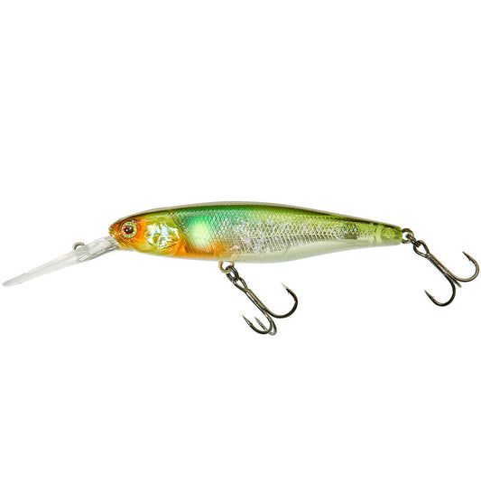 DD SQUIRREL 79 SP