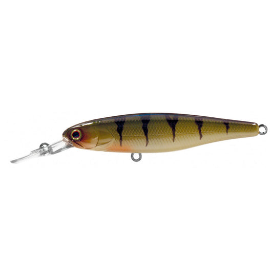 SQUIRREL 61 SP